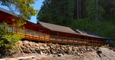 4K Pan Shore Front Beach Cabins, West Coast Forest Beach Stock Footage 51386295