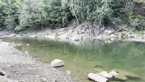 4K pan shot of calm mountain river with clear green water and rocky shore Vídeo Stock 344337986