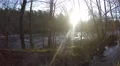 4K Panning of forest next to flooded river filmed in Sweden in autumn 4k or 4k+ Resolution