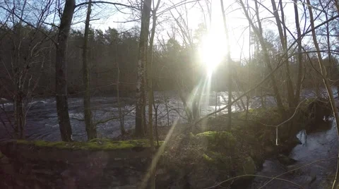 4K Panning of forest next to flooded river filmed in Sweden in autumn Stock Footage 47253898