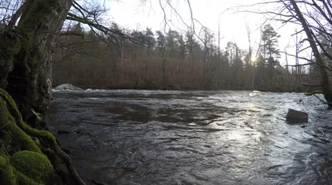 4K panning over stream with water, forest around it, sun shining on surface Stock Footage 47269254
