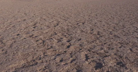 4K panning shot of the clay surface to the trees of Dead vlei  Stock Footage 64696826