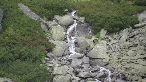 4k panning shot of mountain spring. High Tatras, Slovakia Stock Footage 168346638