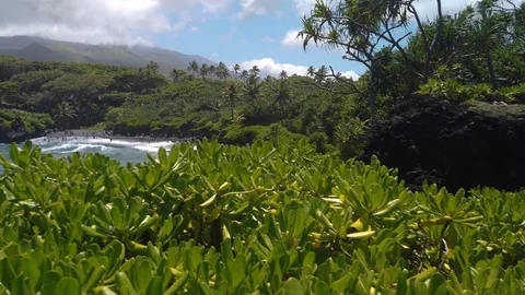 4k panning view of Black Sand Beach,Waianapanapa State Park,Maui,Hawaii,USA Vídeo Stock 119556767