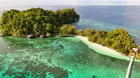 4k panoramic drone video of a small tropical island in the Togean Islands Vidéo 316886704