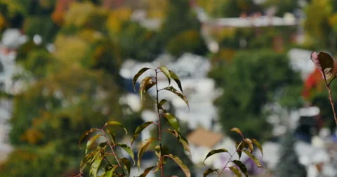 4K, panoramic view of city Video stock 46665806