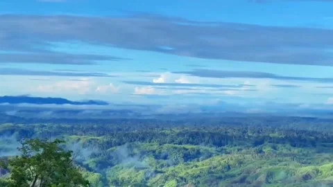 4K Panoramic View Lush Forest Canopy Enveloped Cloud Forest Environment Video stock 332156903