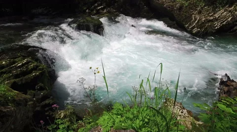 4K. Panoramic view of Radovna river, wich flows in Vintgar Gorge. Stock-Footage 65228488
