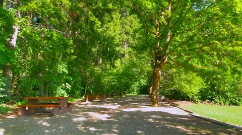 4K Park Bench with Canopy of Large Leaf Tree Foliage, Gravel Path, Spring Season Video stock 64583499