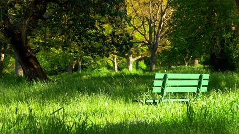 4K Park Bench Spring Field Landscape, Tall Green Grass and City Park Stock Footage 75763326