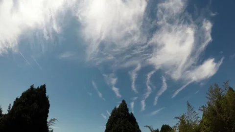 4K Park Timelapse under Blue Sky and White Clouds Video stock 321040568
