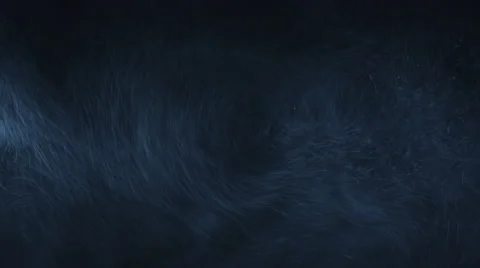 4K Particle Burst Effect Stock Footage 45300838