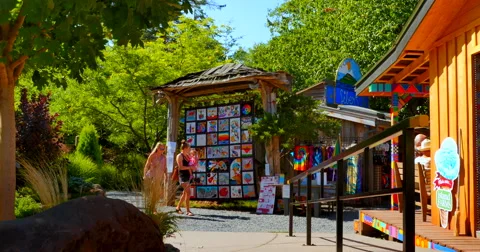 4K Patchwork Quilt Auction, Hornby Island Ringside Market, BC Canada Video stock 61358495