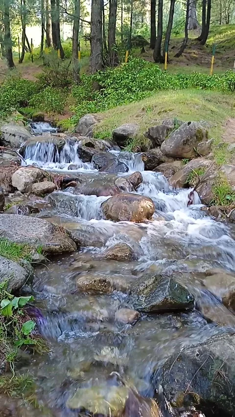 4K Peaceful Forest Stream Flowing Over Rocks in Kashmir India Real Sound Stock Footage 337049008