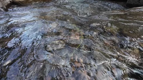 4K Peaceful Mountain Stream with Clear Water and Mossy Rocks Stock Footage 336749795