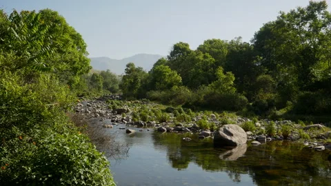 4K Peaceful River Flowing Through Jim Corbett National Park Vídeo Stock 346204084