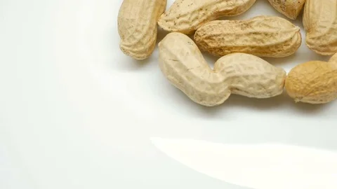 4k. peanuts in the shell rotate in left side white background Stock Footage 82632773