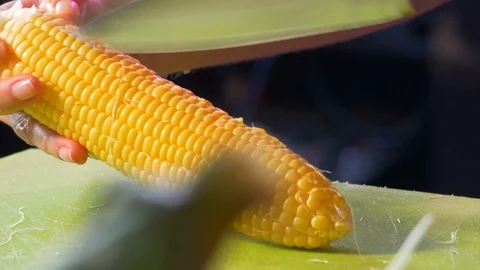 4K  Peeled Corn Video stock 90054287