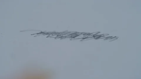 4K pencil closeup erasing eraser Stock Footage 107075632