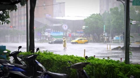 4k People in crosswalk on a street Extreme Wind And Rain During A Typhoon-Dan Stock Footage