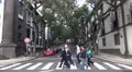 4k People crosswalk street with Jacaranda Trees Funchal city 4k or 4k+ Resolution