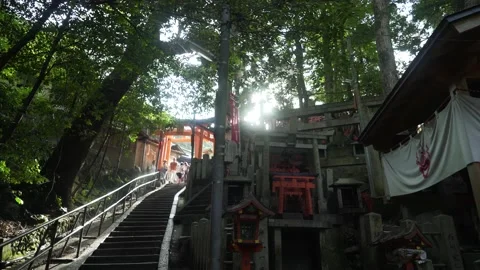 4K People on Steps with Torii Gates at Fushimi Inari Shrine with Sun Flare — Ora 스톡 동영상 150824326