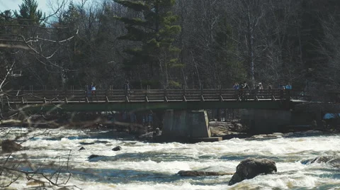 4K - People walking on bridge Video stock 62332875