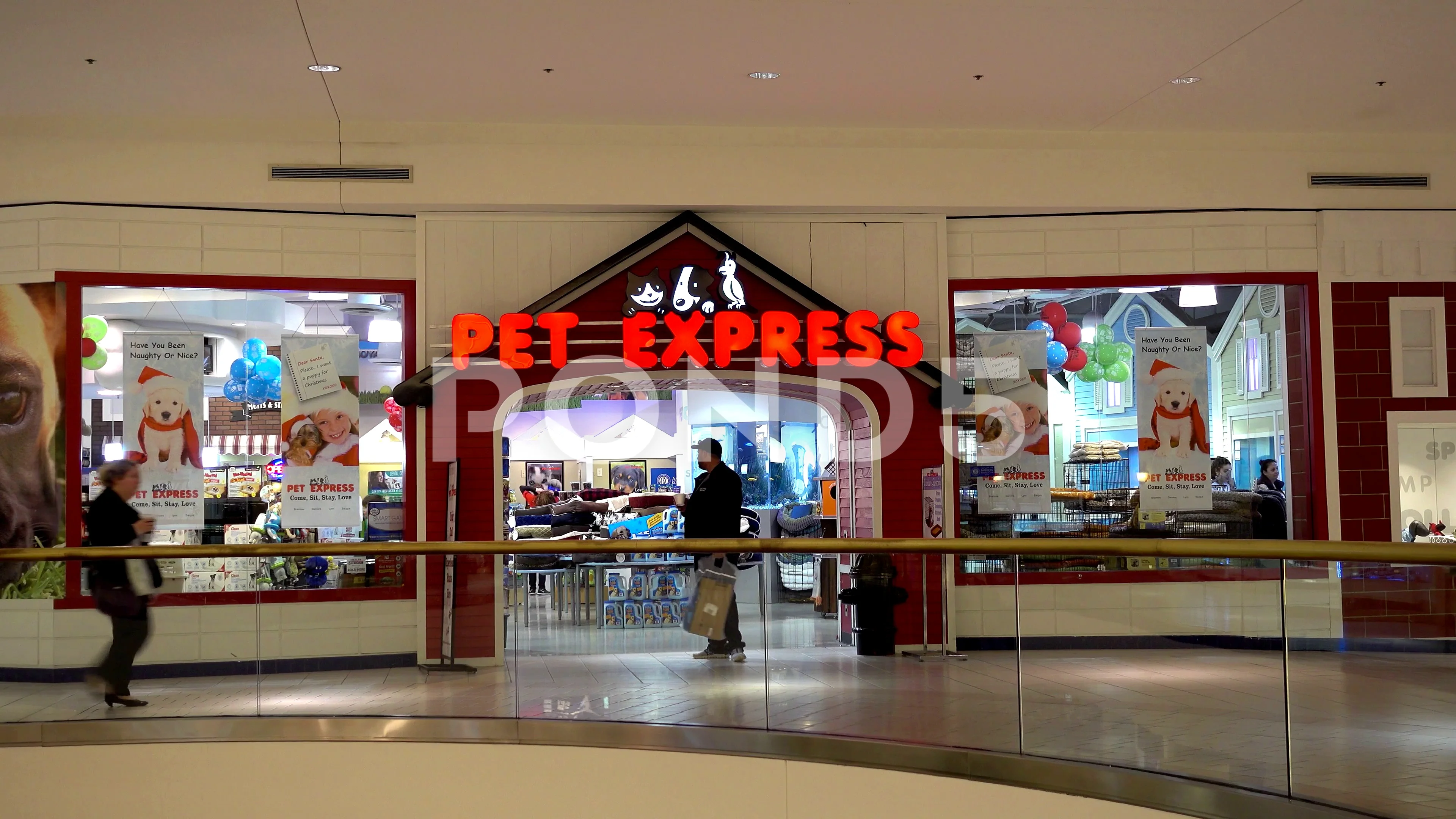 pet store express