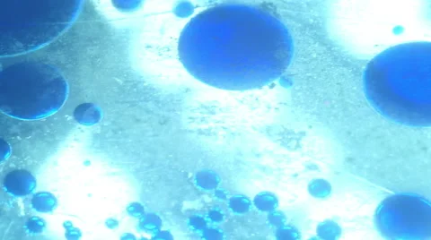 4k petri dish cell cellular amino acids Stock Footage