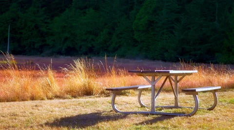 4K Picnic Bench Table in Grass Meadow, Tall Yellow Grass Landscape Stock Footage 65409604