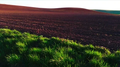 4K Plough Field Stock Footage 49971214