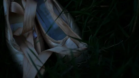 4k pointe shoes on the grass Video stock 85661037