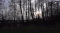 4k Pond behind swamp bog moor trees in winter season panning 4k or 4k+ Resolution