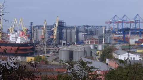 4K Port facilities with hoisting cranes. shot from the top of general plan Vidéo 100058448