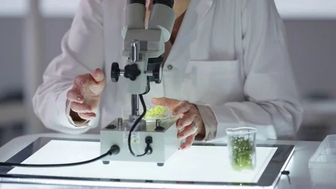 4K Portrait smiling medical researcher working in the lab analyzing plant sample Stock Footage
