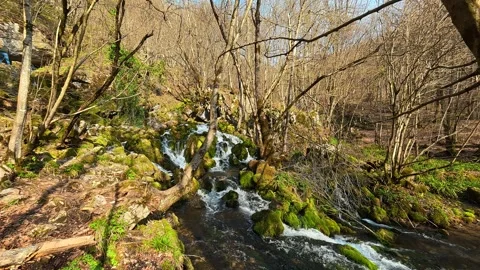 4K POV Close-up Approach to Forest Spring - Immersive Nature Water Source Vidéo 332373693