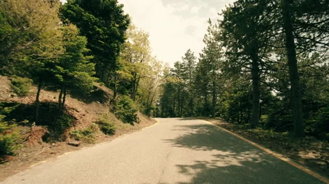 4K pov drive at mountain forest at summer,warm day Stock Footage 63519829
