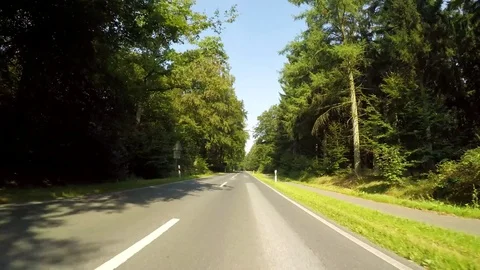 4K POV – Forest in Germany Video stock 73004786