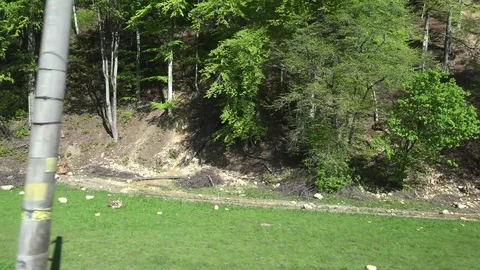 4K POV Point of view train cross mountain green forest by day natural wildlife Stock Footage 83117878