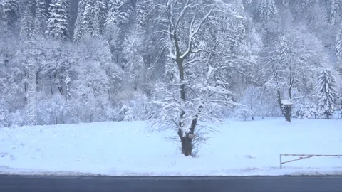 4K POV Point of view train cross mountain covered heavy snow winter time emblem Stock Footage 108484724