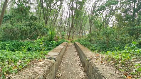 4K POV Straight View of Stone Walking Bridge over Irrigation Canal, Keralas.. Stock Footage 329551469