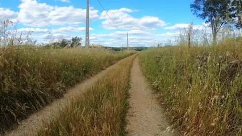 4K POV Walking in a path in the field Stock Footage 154472608