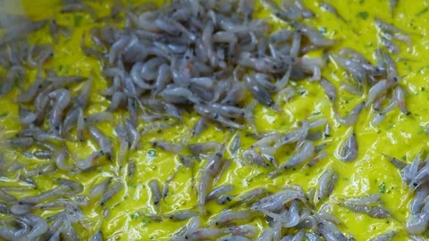 4k prepare the mixture to make a shrimp omelette Stock Footage 75424620