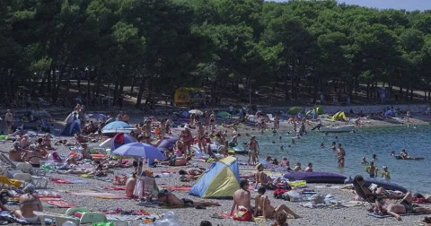 4K Primosten pine beach Stockbeeldmateriaal 45783202