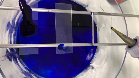 4k Process of staining cell sample, preparation of microscope examination Stock Footage 135950291