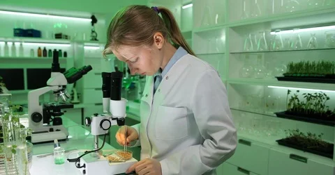 4K Professional researcher woman examining seeds in laboratory botanist studying Stock Footage