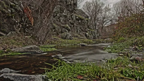 4K ProRes Forest Stream Timelapse - Low Angle Rocky Creek Stock Footage 324229634