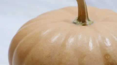 4K - Pumpkin rotating on white background Stock Footage 42968452