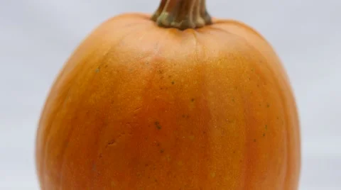 4K - Pumpkin rotating on white background Stock Footage 42968455