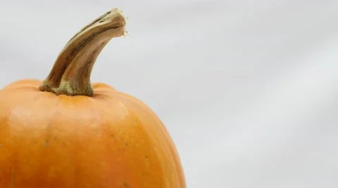 4K - Pumpkin rotating on white background Stock Footage 42968458